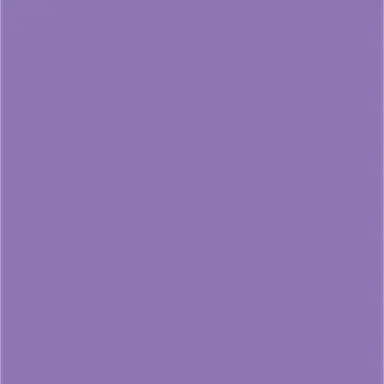 Profile image of 황수현