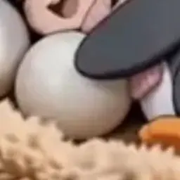 Profile image of 구구가가 알