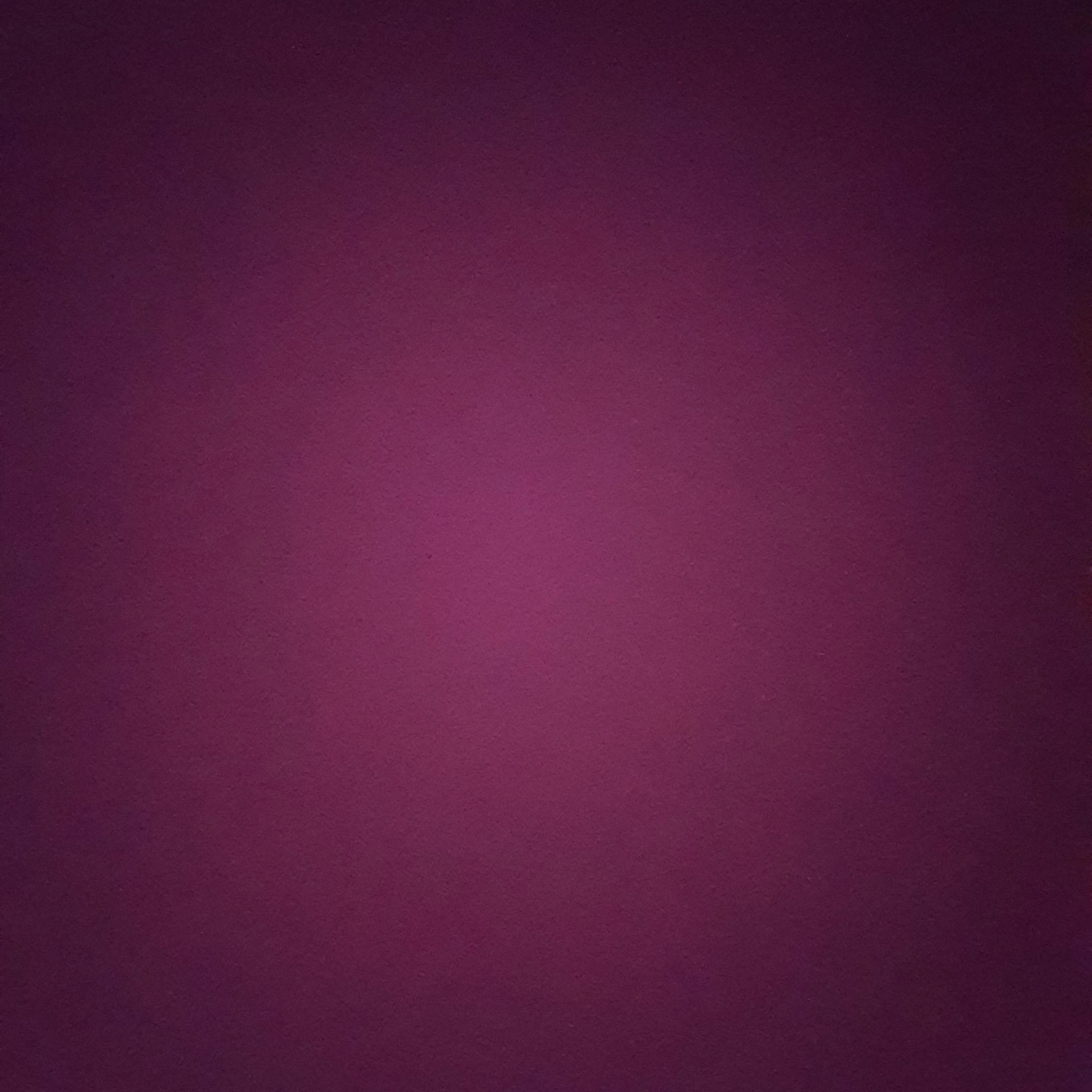 김율이