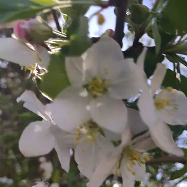 Profile image of jess