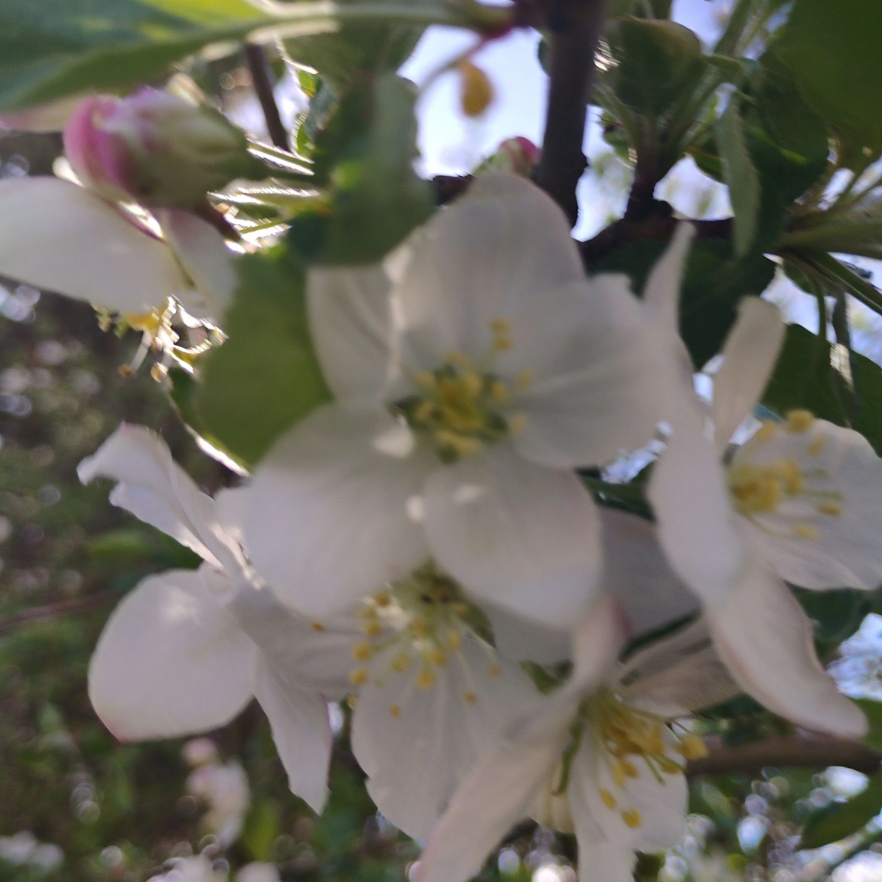 PoliteVein0493의 The Marked Target