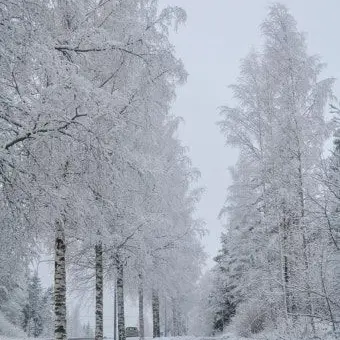 712111의 소리질러야점프되는잼못타와오비스트들?!
