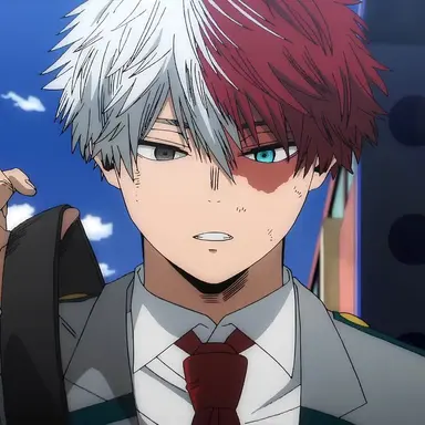 Profile image of Shoto Todoroki