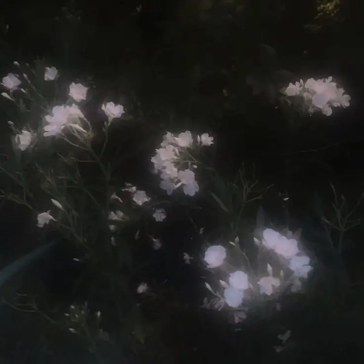 FALLING_LOVE1229의 나루미 겐