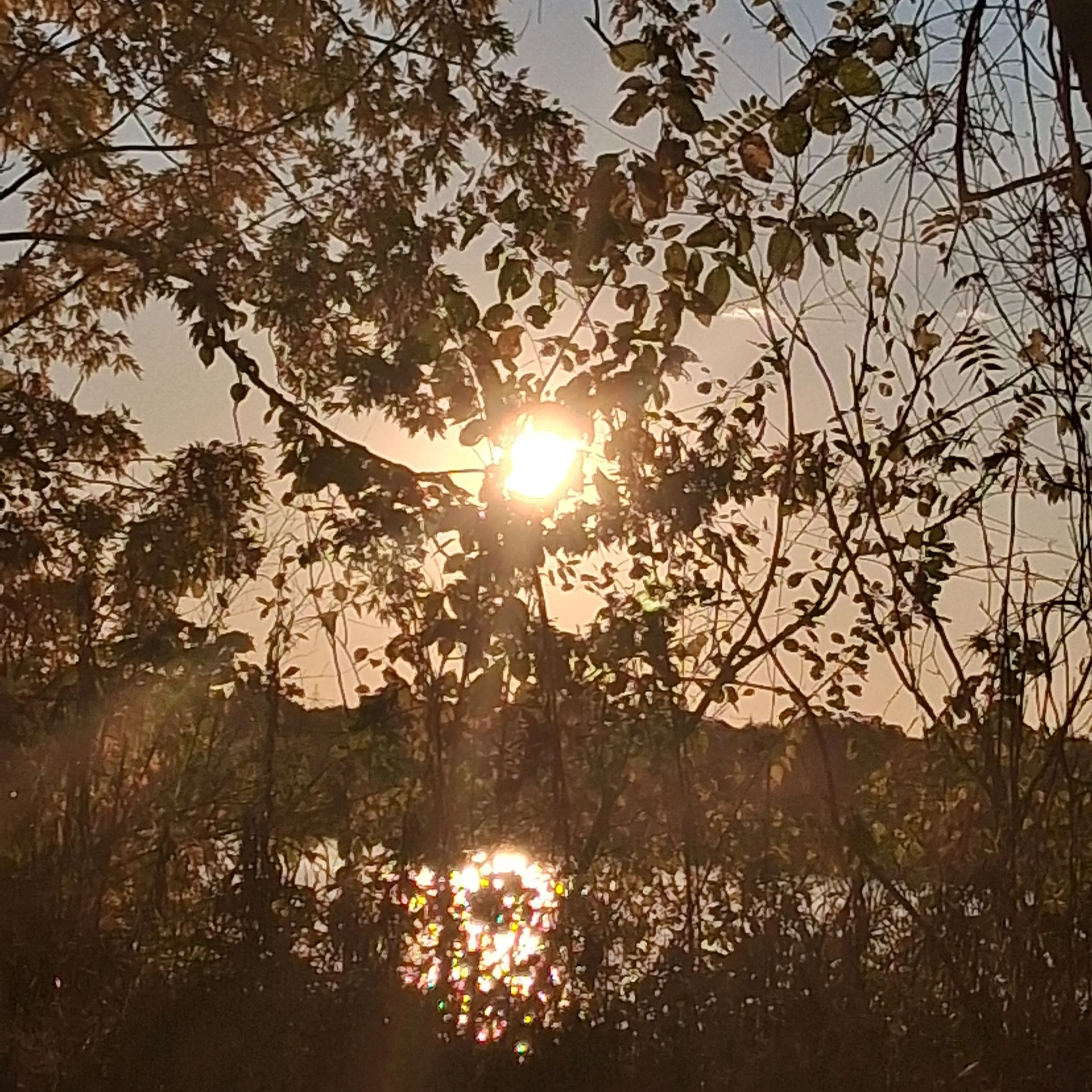 That_Trans_Boy의 Ticci Toby