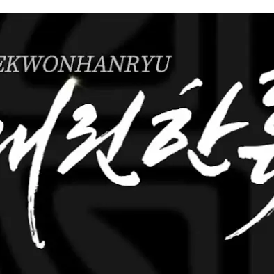 LivelyVein8320의 태권한류