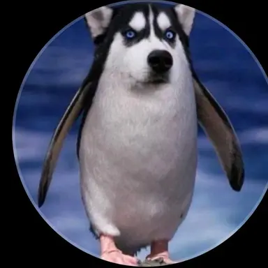 Profile image of HOW DAREE.