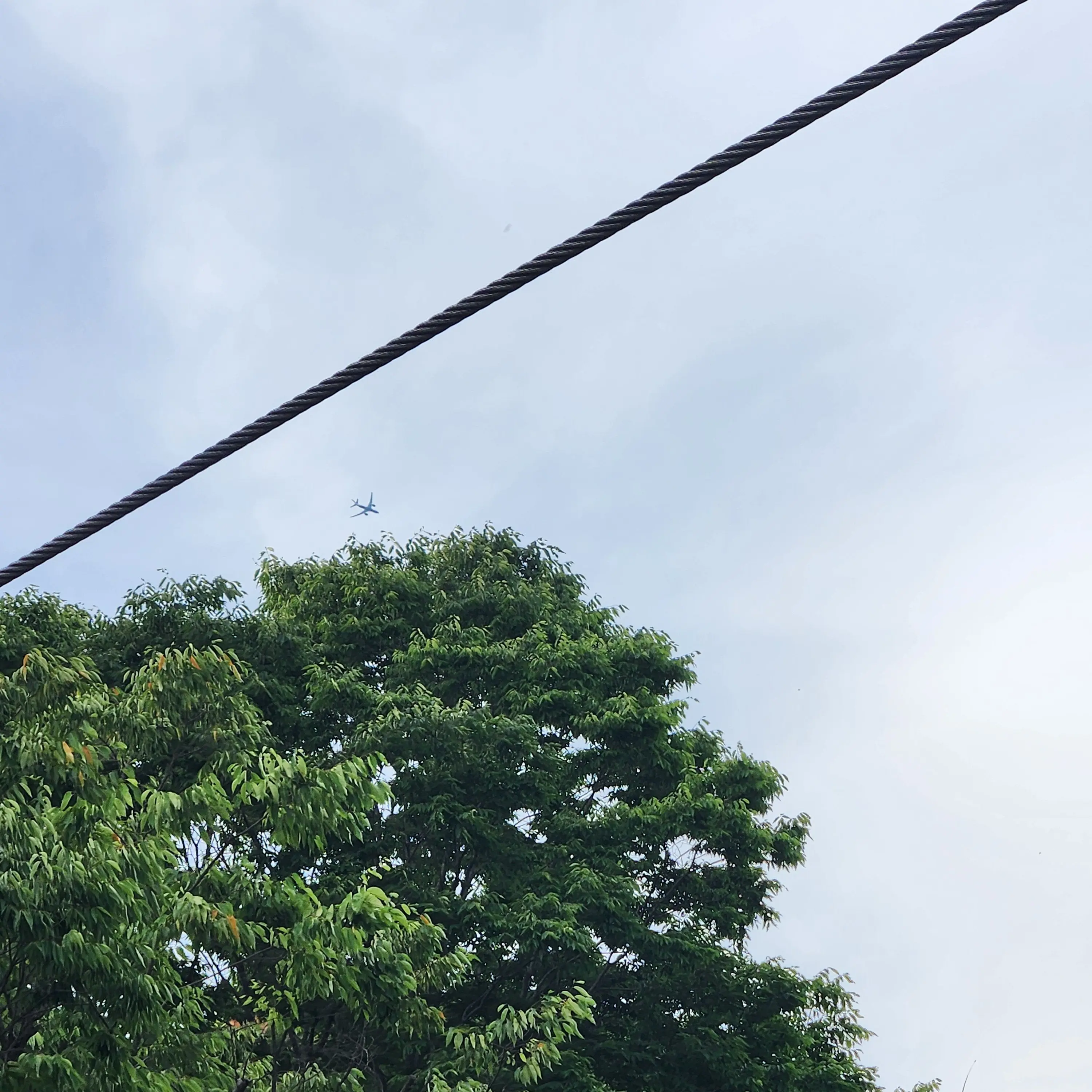 SzZs의 악마남고, 천사여고…?!
