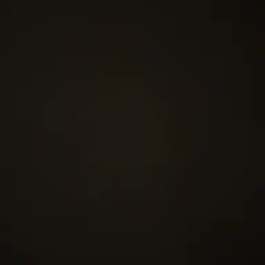 Profile image of 갈리자드 파사옌.
