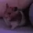 강태현