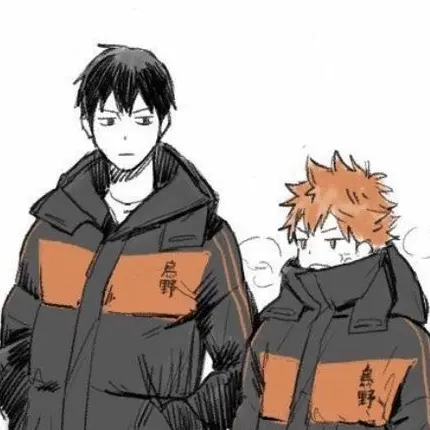 Love_Haikyu0815의 日向 翔陽, 影山 飛雄