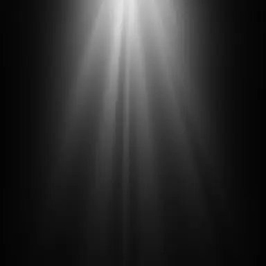 Profile image of 자유