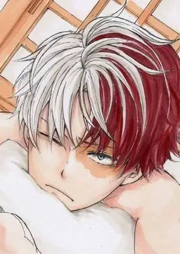 Profile image of Shoto Todoroki