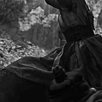 MustyFly3498의 이 선