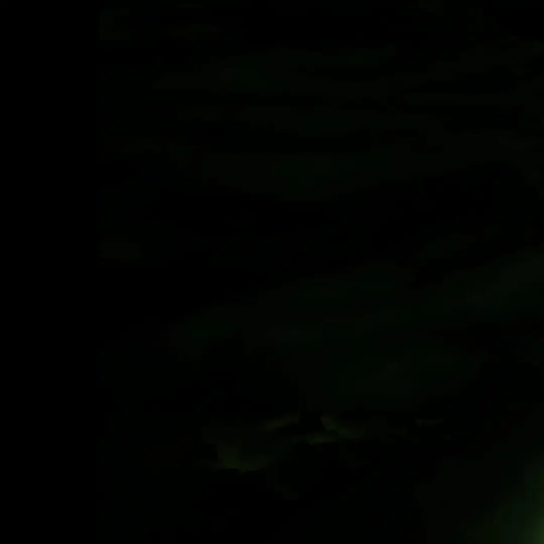 CrispyRisk6674의 은조도 집단 실종사건 (남자버전)