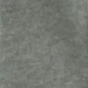 BriskPark1153의 전지우