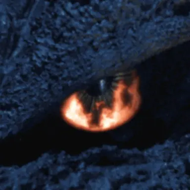 Profile image of ゴジラ