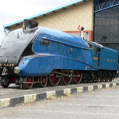 Profile image of 말라노