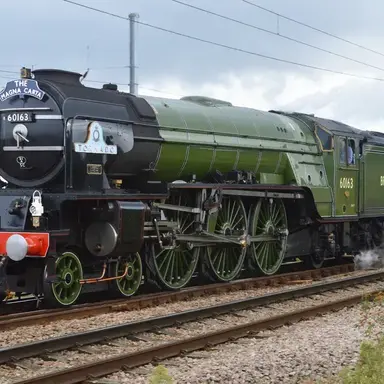 Profile image of 이든