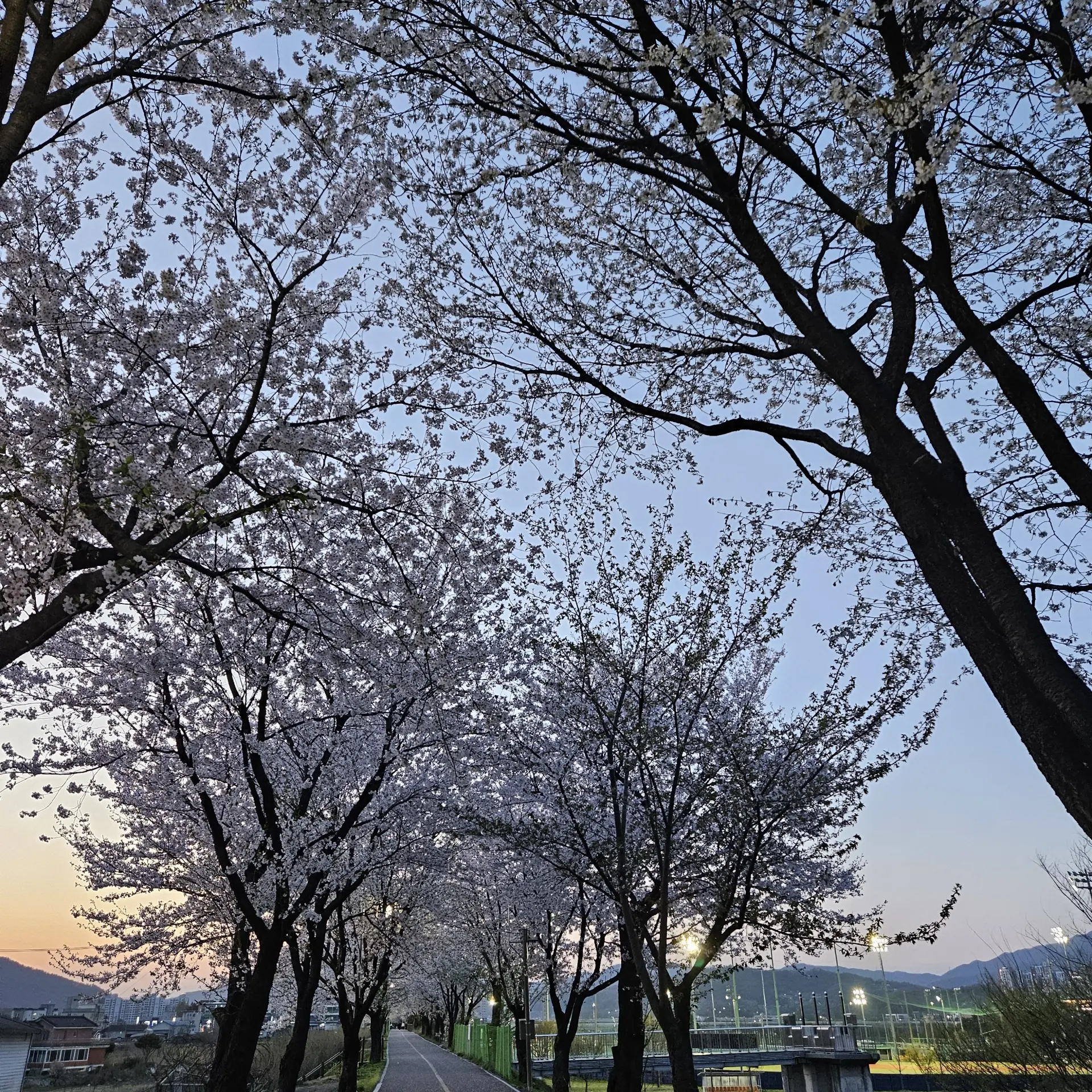 FoulTeam6070의 리레볼루션 초능력중학교 (여우포함)