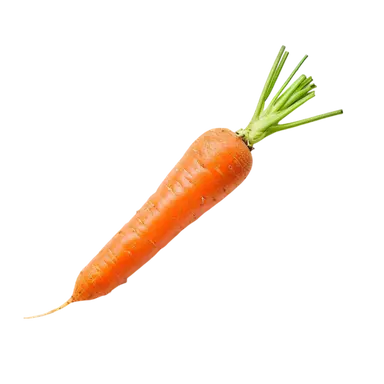 Profile image of 당근