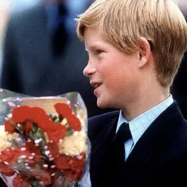 Profile image of Harry