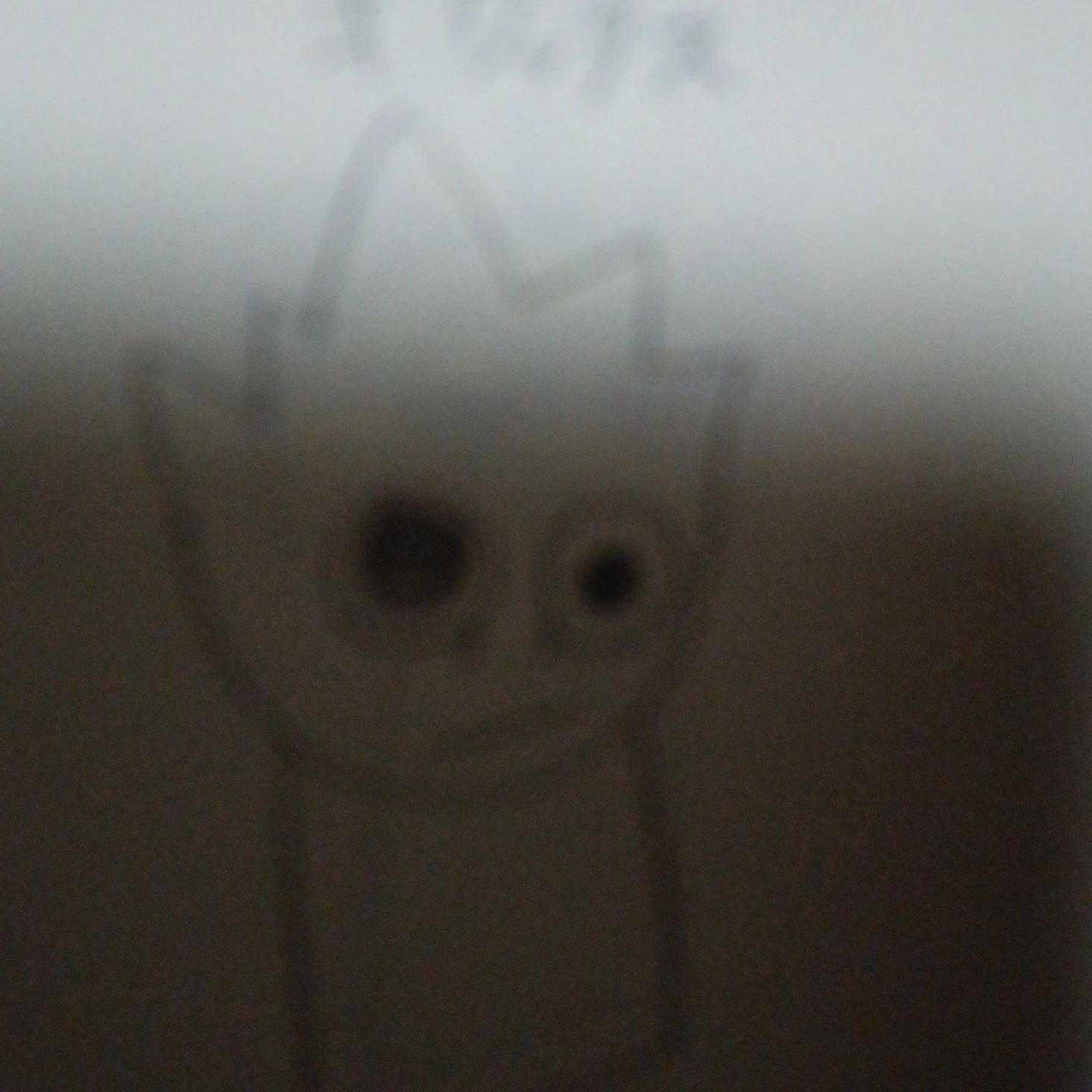 オワックス