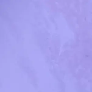 Profile image of えむ