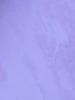 Wa-uwoooo의 絶対王政⭐︎エイリアン兄弟！