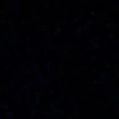 Profile image of S