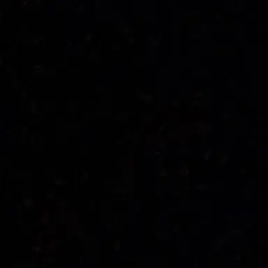Profile image of R
