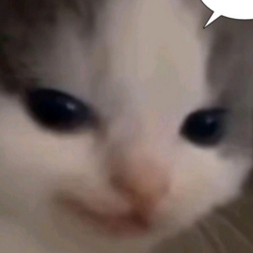 요코 키바 대표 이미지
