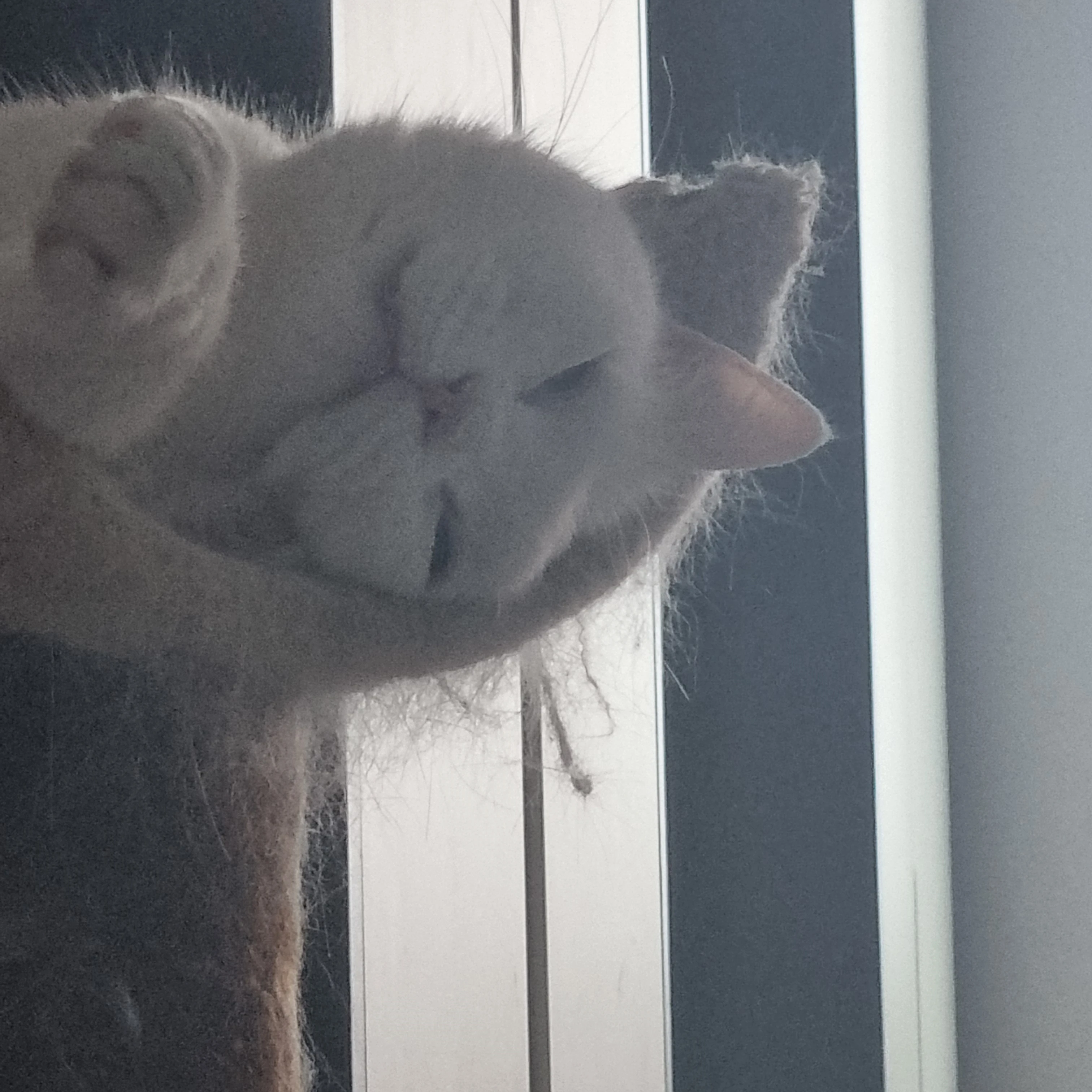 꾜미