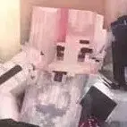 Profile image of Vamp