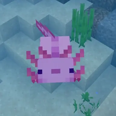 Profile image of 스로와 히츠리