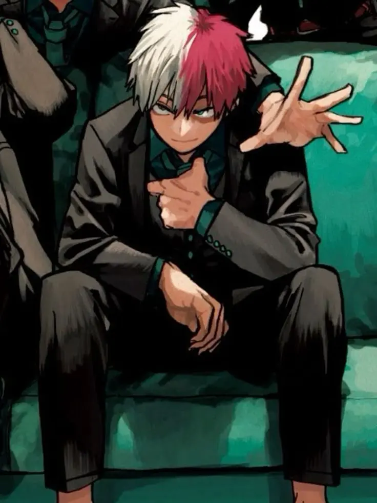 Novachanz의 Shoto Todoroki