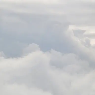 Profile image of 공룡