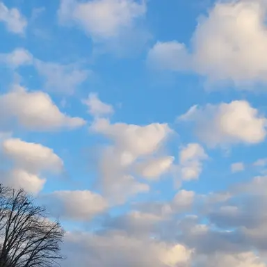 Profile image of 수현