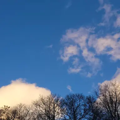 Profile image of 잠뜰