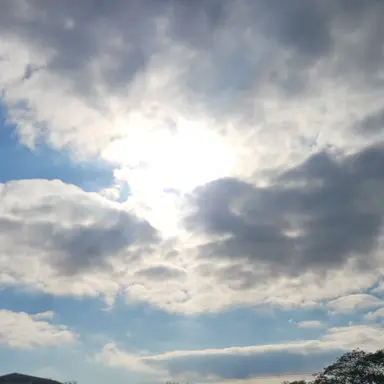 Profile image of 라더