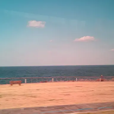 Profile image of 덕개