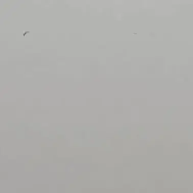 Profile image of 컨티뉴