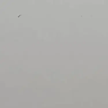 Profile image of 아덴