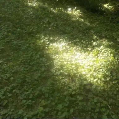 Profile image of 황수현