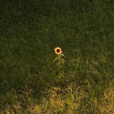 Profile image of 박덕개