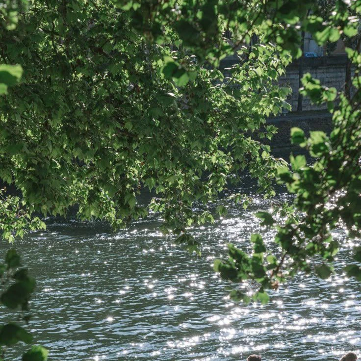 초능력 세계 여행