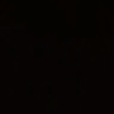 Profile image of Y
