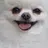 강아지