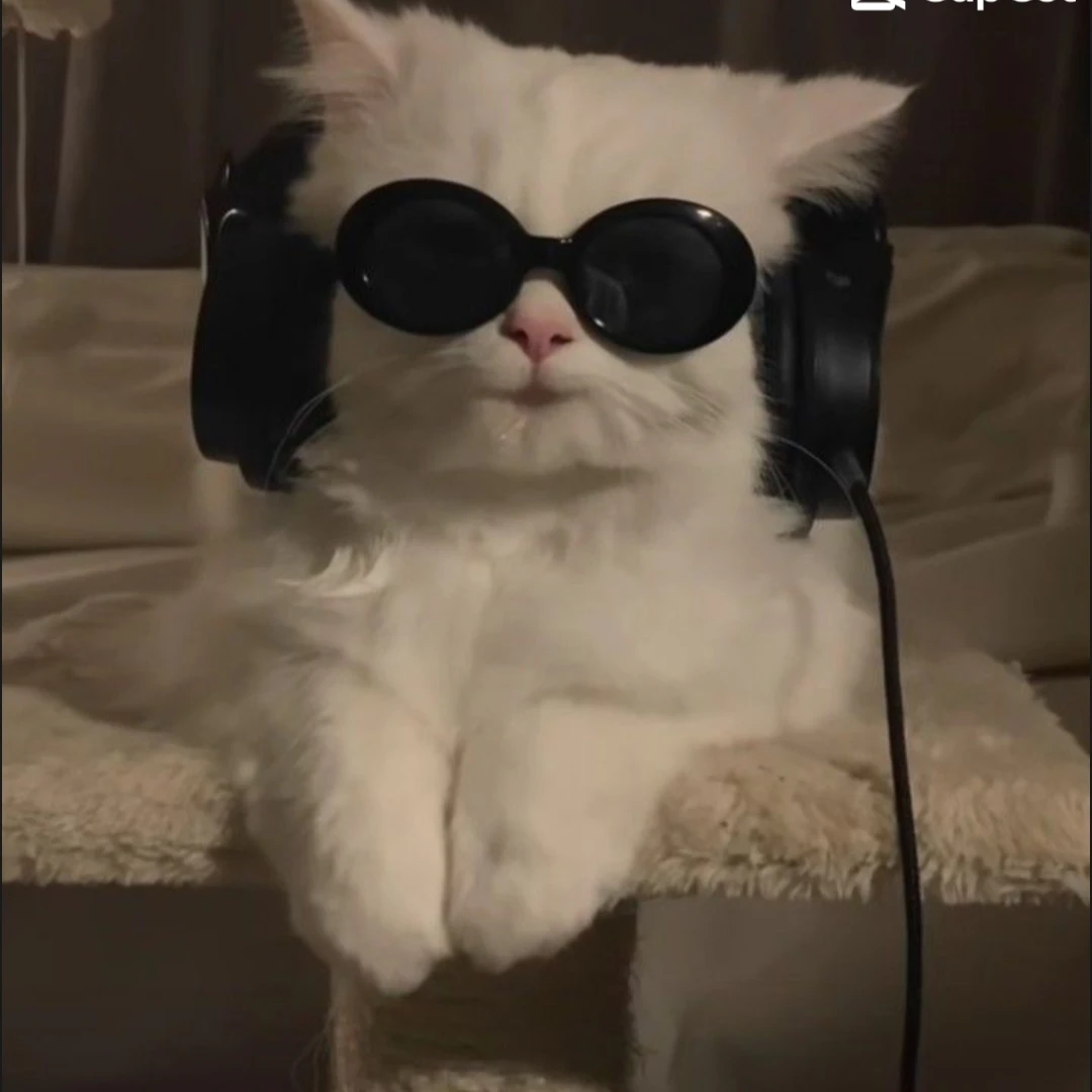 새벽에 엄마몰래 나가기