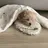 강아지 스프